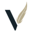 Maven Securities logo